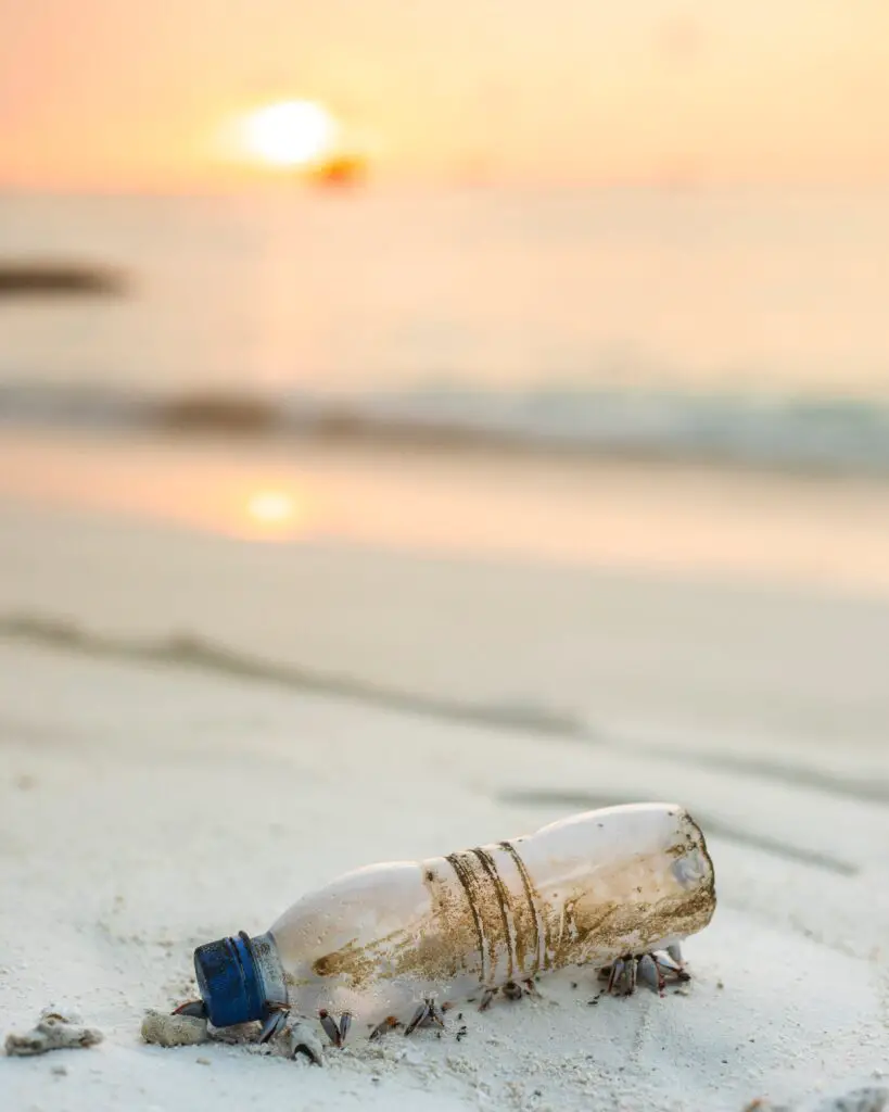 This Never Happened’s New Album Artwork Focuses on Raising Awareness About Plastic Pollution